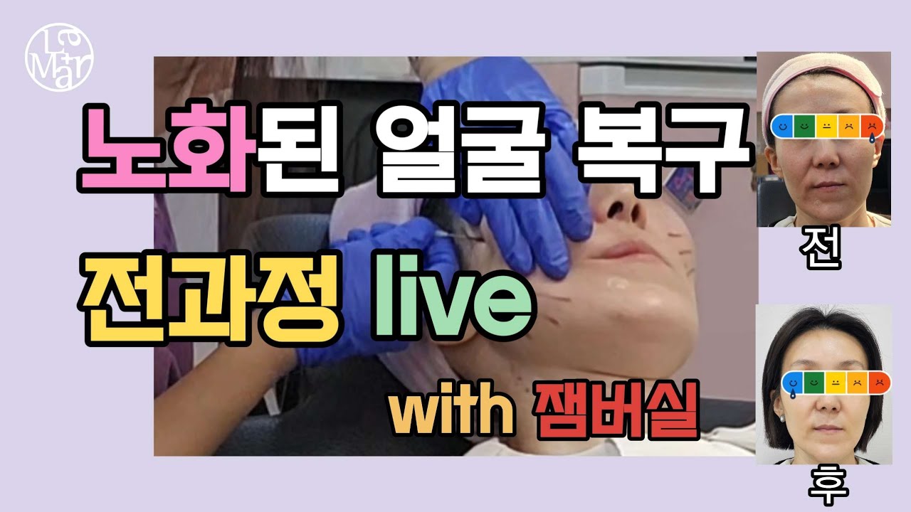 잼버실 노화 썸네일